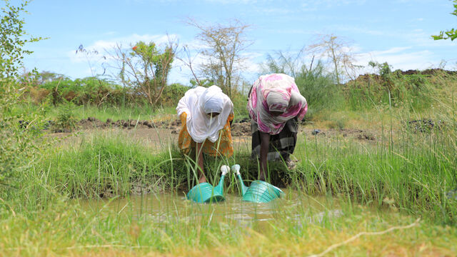From coal to clean: stories of change